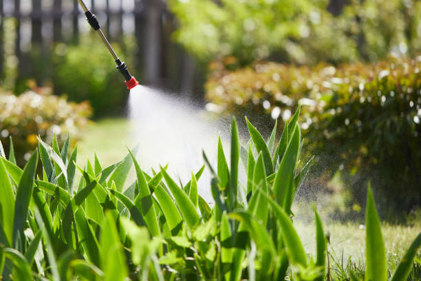 24/7 Emergency Wasp Removal experts in Henagar, AL