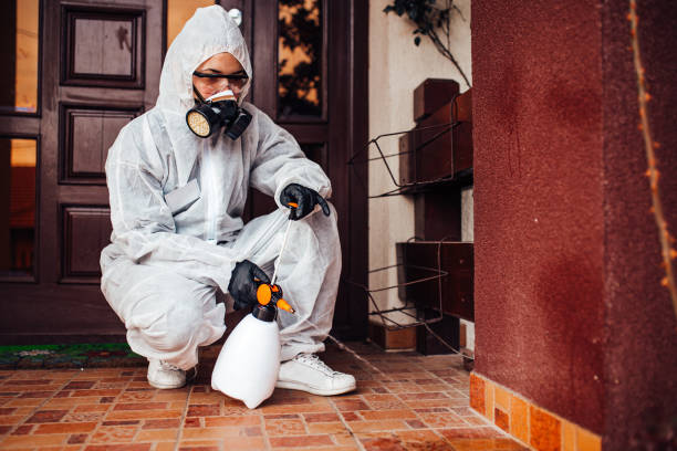 Reliable Wasp Removal contractor in Henagar, AL by Show Me Pest Control